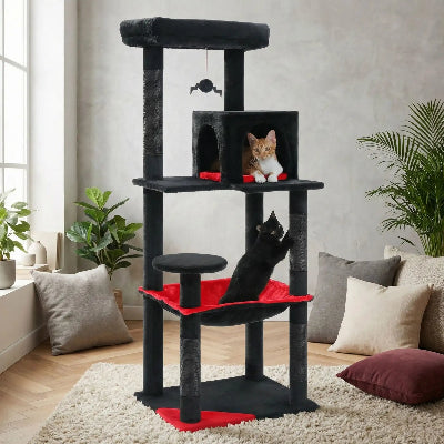 arbre a chat noir rouge