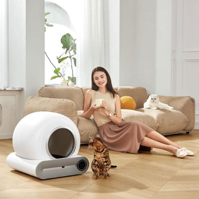 bac à litière chat dans un salon