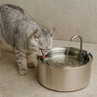 Fontaine a eau pour chat gris qui boit
