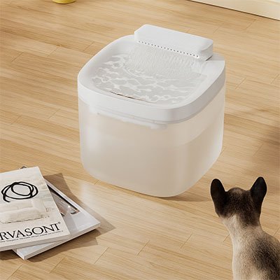 Fontaine eau chat blanche-transparente