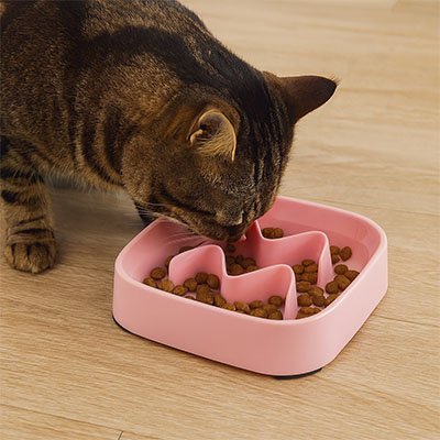 Gamelle anti glouton Chat rose