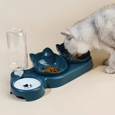 Gamelle chat bleu et chat gris