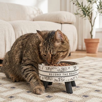 Gamelle Chat surélevée avec char railler