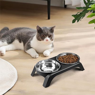 Gamelle chat surélevée noire un chats gris et blanc