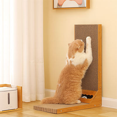 griffoir chat roux faisant ses griffes