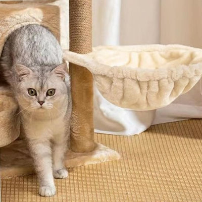 hamac pour chat suspendu chat beau chat