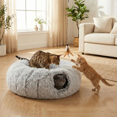 niche pour chat trois chats qui jouent