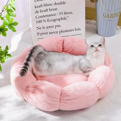 Coussin pour chat réconfortant