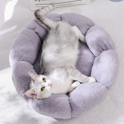 Coussin pour chat ultra douillet