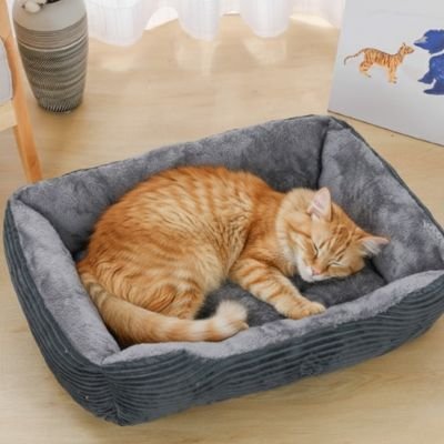 Panier chat confortable douillet gris avecchat roux