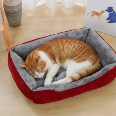 Panier chat confortable douillet rouge bordeau avec chat roux blanc