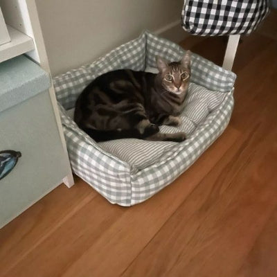 Panier chat rectangulaire