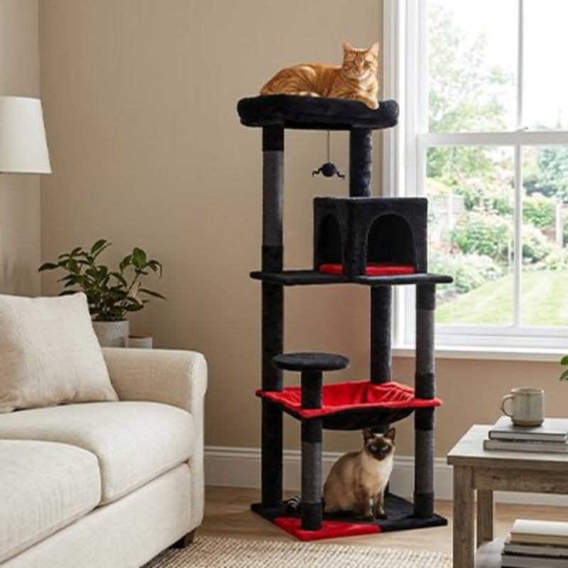 Arbre à Chat dans un salon