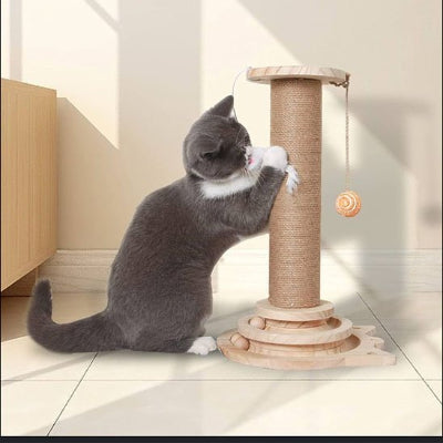 Arbre a chat en bois chat gris et blanc