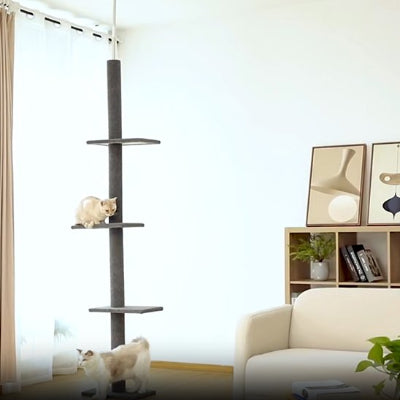Arbre à chat gris deux chats pale