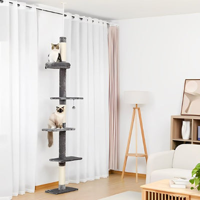 Arbre à chat gris pale deux chats