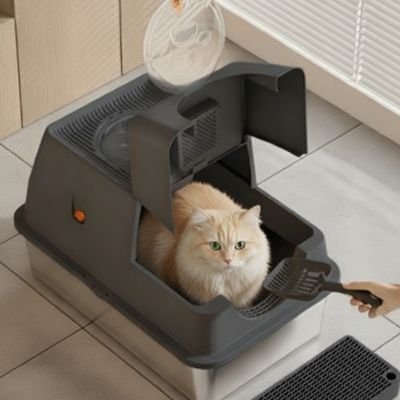 Bac à litière Chat beige avec un chat