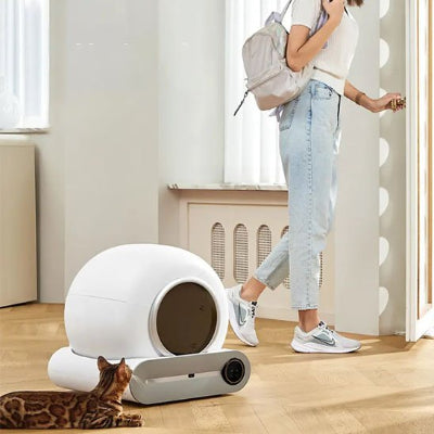 bac à litière chat dans la pièce