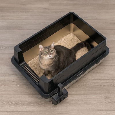 Bac à litière Chat grise avec un chat