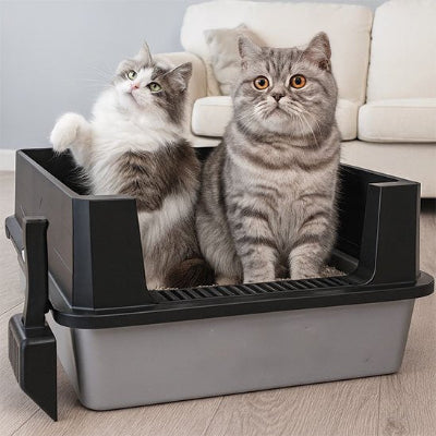 Bac à litière Chat noir avec deux chats