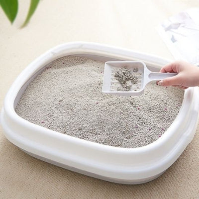 Bac à litière chat grise avec pelle