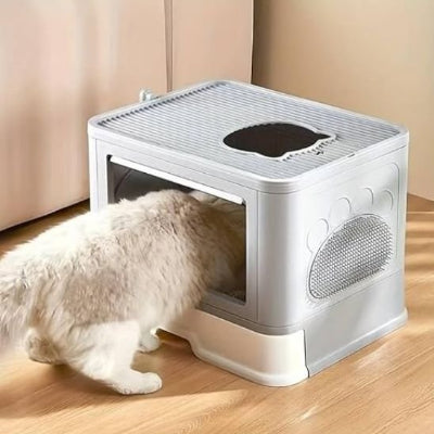 Bac litière chat avec chat entrant