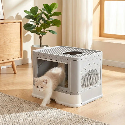 bac litiere chat avec chat sortant