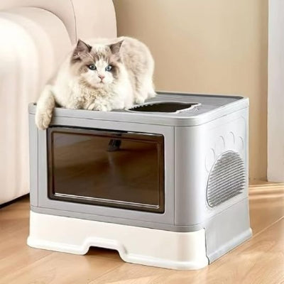 Bac litière chat avec chat sur dessus