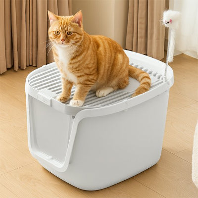 Bac à litière Chat avec un chat roux