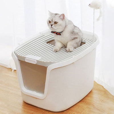 bac litiere chat blanc avec un chat