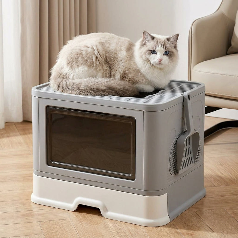 bac litiere chat