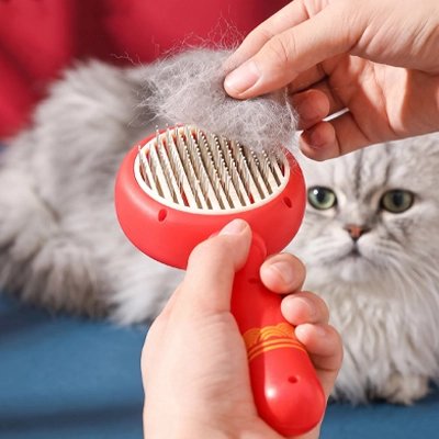 Brosse pour Chat ergonomique