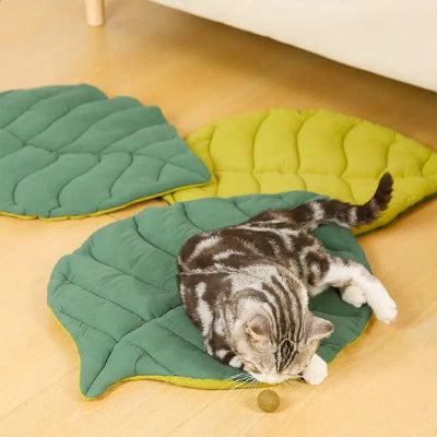 coussin a chat forme feuille verte