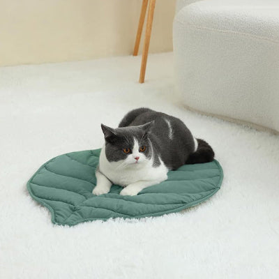 coussin a chat forme feuille