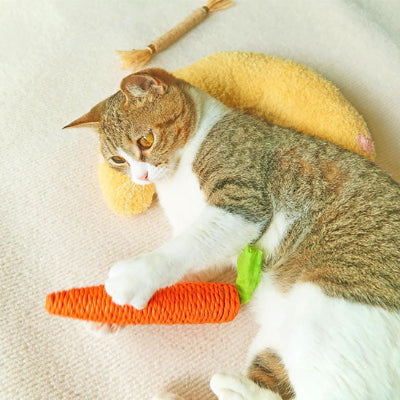 coussin a chat oreiller amusante