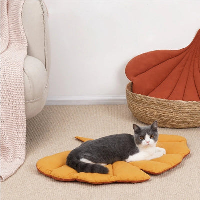 coussin-a-chat-variante-jaune