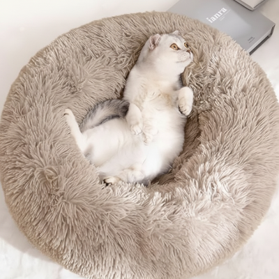 Coussin chat beige pâle