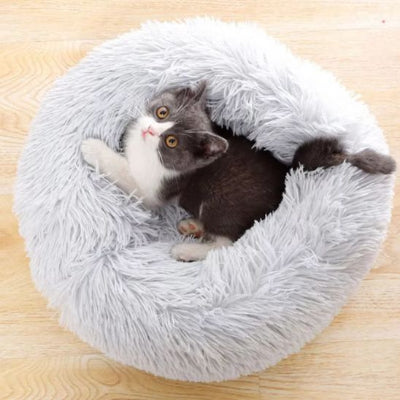 coussin chat blanc apaisant