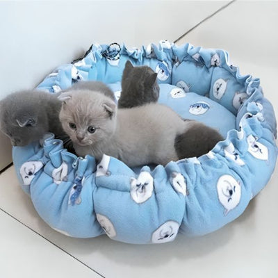 coussin chat bleu motifs chat gris