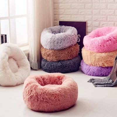 coussin chat gamme de couleurs