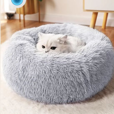 coussin chat gris pâle