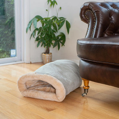 coussin chat gris tres doux