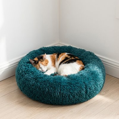Coussin Chat vert et chat calico