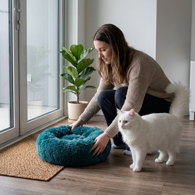 Coussin Chat vert