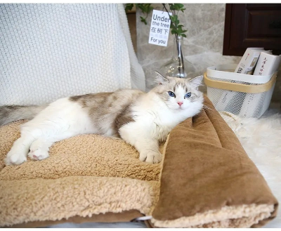 coussin pour chat beige avec oreiller