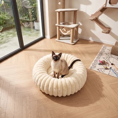 Coussin pour Chat beige chat siamois