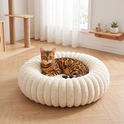 Coussin pour Chat beige