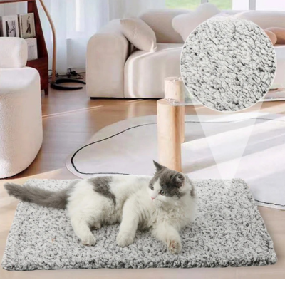 coussin pour chat gris
