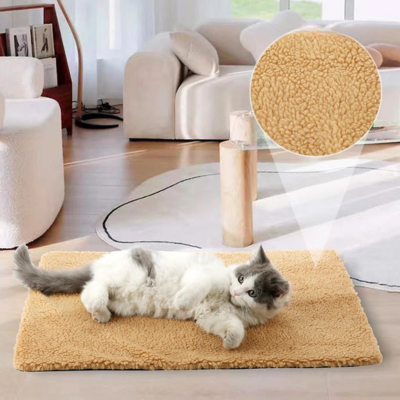 coussin pour chat kaki