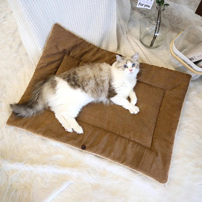 coussin pour chat polyvalent beige